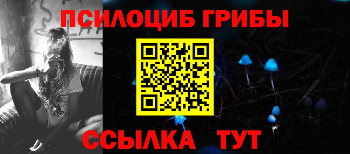 Псилоцибиновые грибы Cubensis  Галлюциногенные грибы Cubensis  дарнет шоп  Снежинск  Вход с VPN 